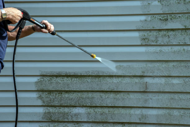 Best Driveway Cleaning and Restoration in Opp, AL